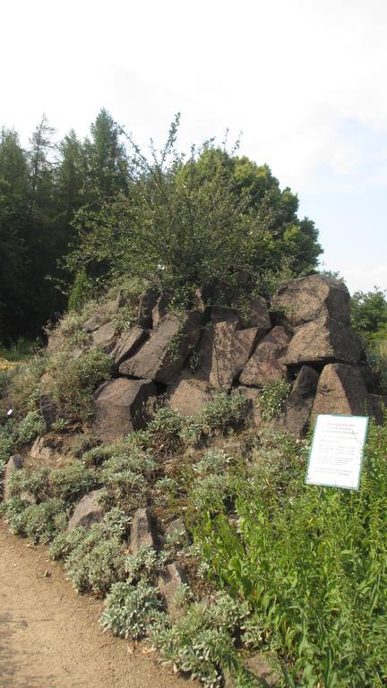 Fewo Strohbach Meißen Zewnętrze zdjęcie