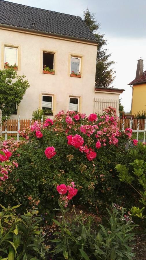 Fewo Strohbach Meißen Zewnętrze zdjęcie